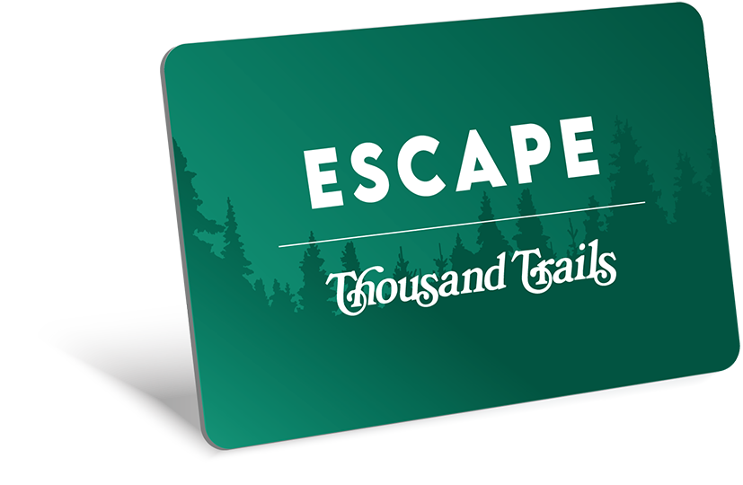 Escape Card