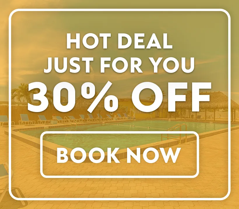 Hot Deals Just For You